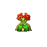 bellossom