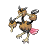 dodrio